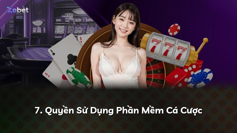 7. Quyền Sử Dụng Phần Mềm Cá Cược