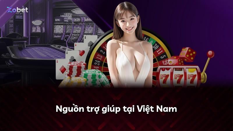 Nguồn trợ giúp tại Việt Nam